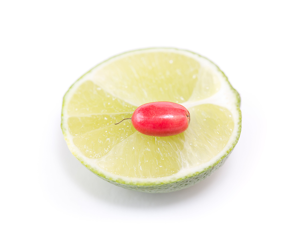 lime with fresh miracle berry sitting on top