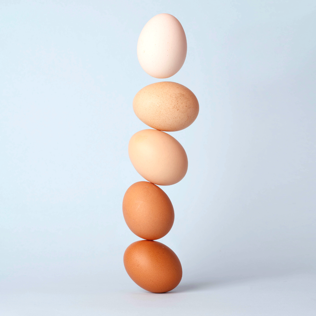 eggs in a row standing straight up and as you go up, they go from brown to white with a light blue background