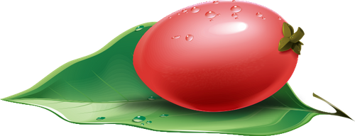 Can Miracle Berry Help With Sugar Cravings?